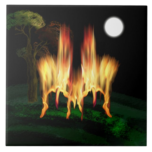 Fire Fly (Frente)