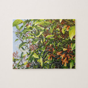 Firebush com quebra-cabeça do colibri e dos