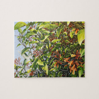 Firebush com quebra-cabeça do colibri e dos