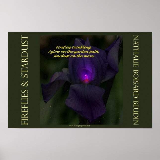 "Fireflies & Stardust" Portfolio Poster (16.5 x 11 (Frente)