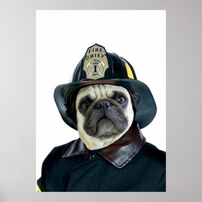 Fireman Pug poster (Frente)