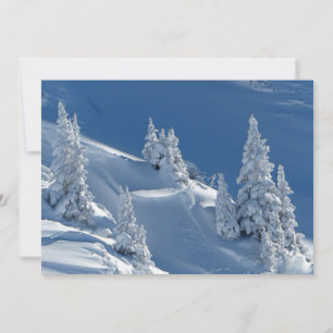 Firme verde coberta com neve de inverno