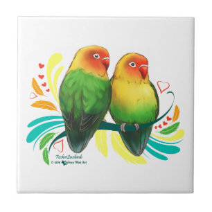 Fischer Lovebird