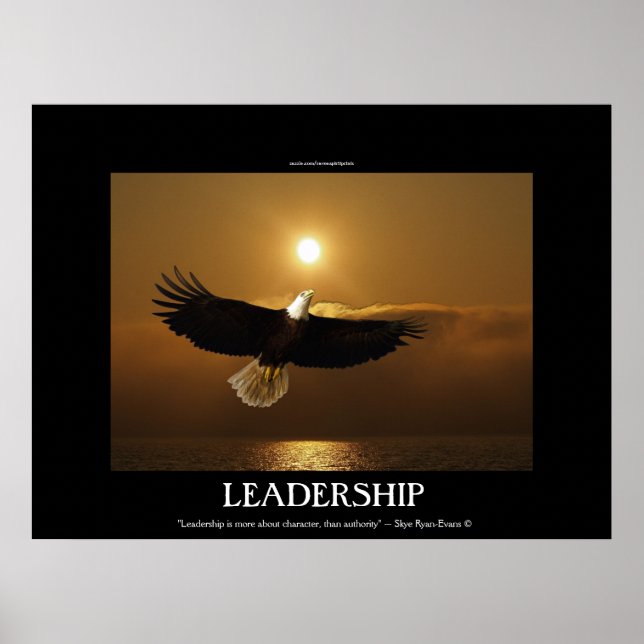 Fishing Bald Eagle & Sunset Motivational Poster (Frente)