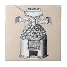 Fitoterapia Spagyric