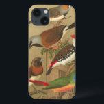 Five Colorful Pet Birds Perched on a Branch<br><div class="desc">Cassel Plakater's art is very distinctive. This painting of five tropical birds is colorful and would be perfect for any avian lover. Choose this artprint today on your product.</div>