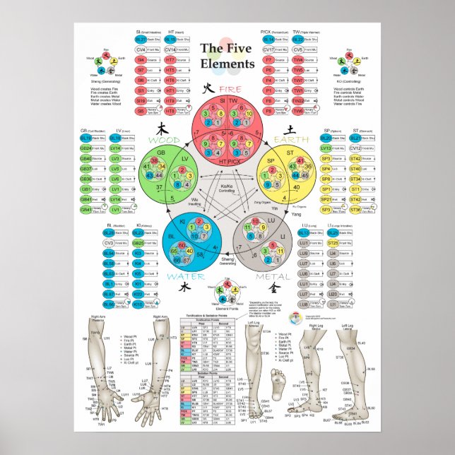 Five Elements of Acupuncture Points Poster (Frente)