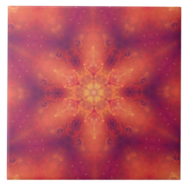 Flaming Fiery Phoenix Burning Snowflake (Frente)