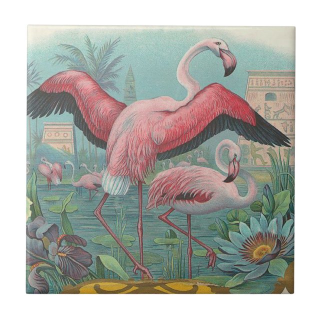 Flamingo (Frente)