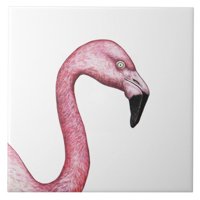 Flamingo (Frente)
