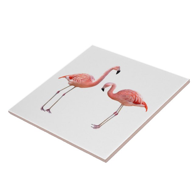 “flamingo”の優良製品 (Lateral)