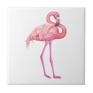 Flamingo 2