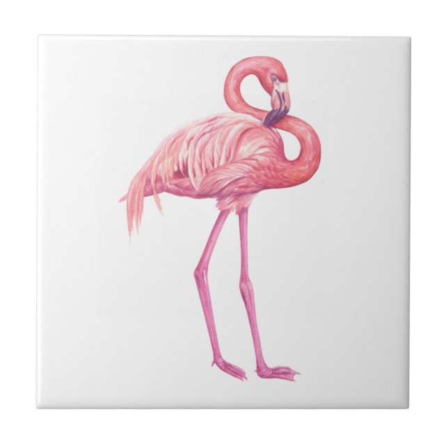 Flamingo 2 (Frente)
