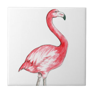 Flamingo Art