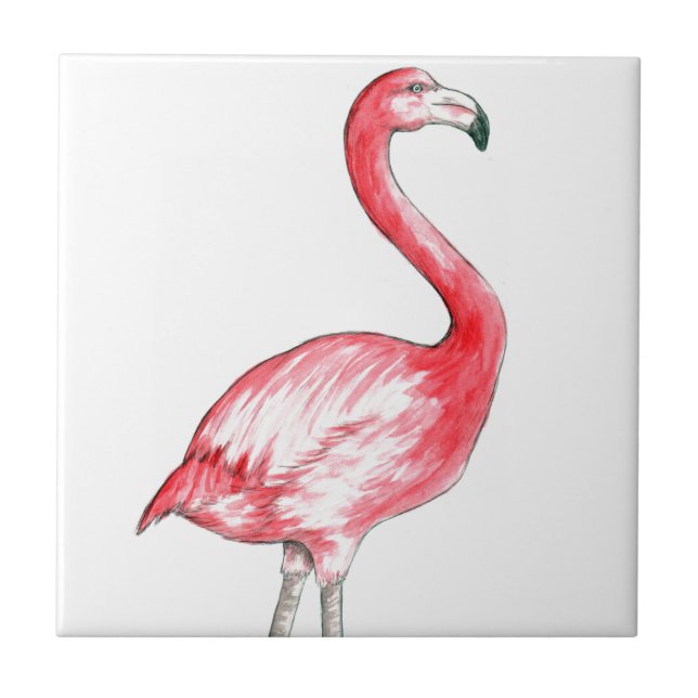 Flamingo Art (Frente)