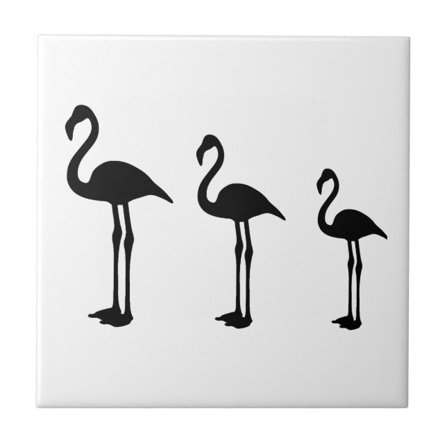 Flamingo Birds Permanentes Minimalistas (Frente)