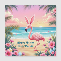 Flamingo Bunny Orelhas Holi