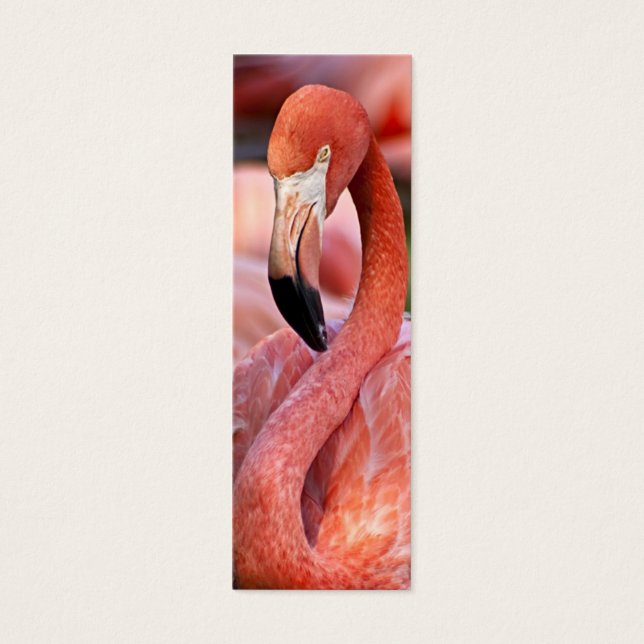 Flamingo Cartão de visita (Frente)