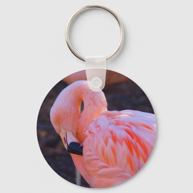 Flamingo Chaveiro (Frente)