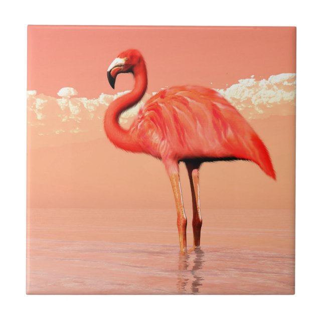 Flamingo cor-de-rosa (Frente)