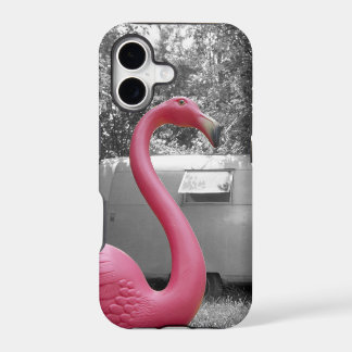 Flamingo cor-de-rosa