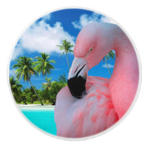 Flamingo e praia