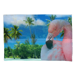 Flamingo e praia
