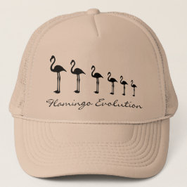 Flamingo Evolution Funky Hat / Boné