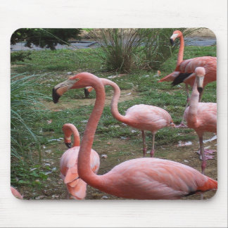 Flamingo Mousepad