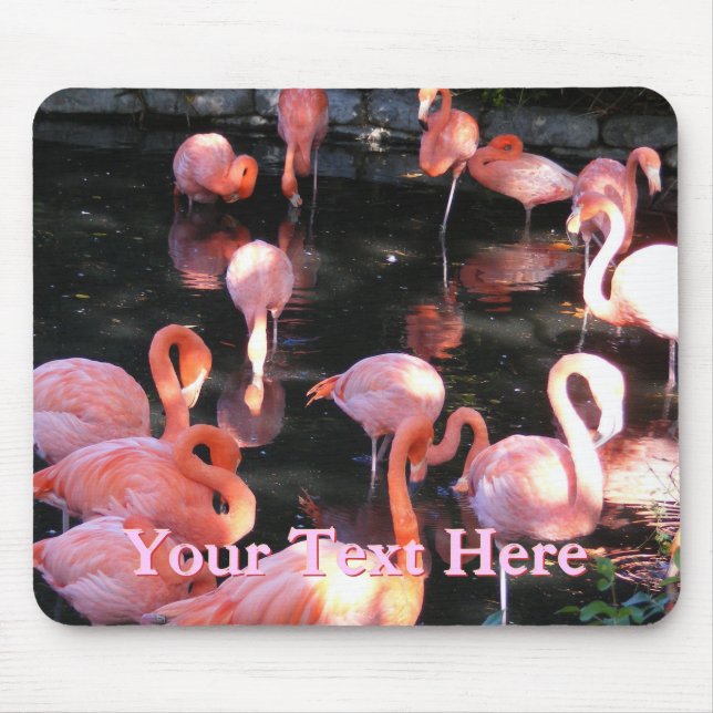 Flamingo Mousepad (Frente)