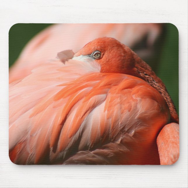 Flamingo Mousepad (Frente)