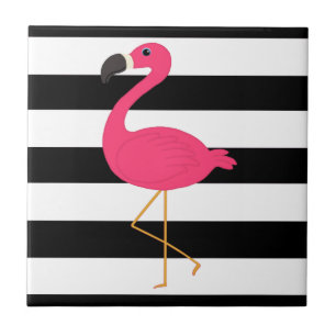 Flamingo preto e branco do rosa da listra