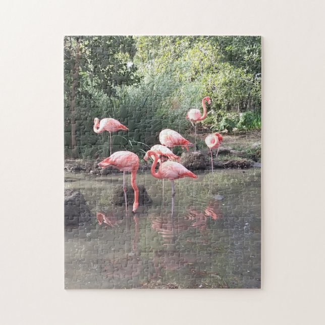 Flamingo Quebra-cabeça (Vertical)