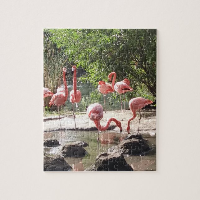 Flamingo Quebra-cabeça (Vertical)