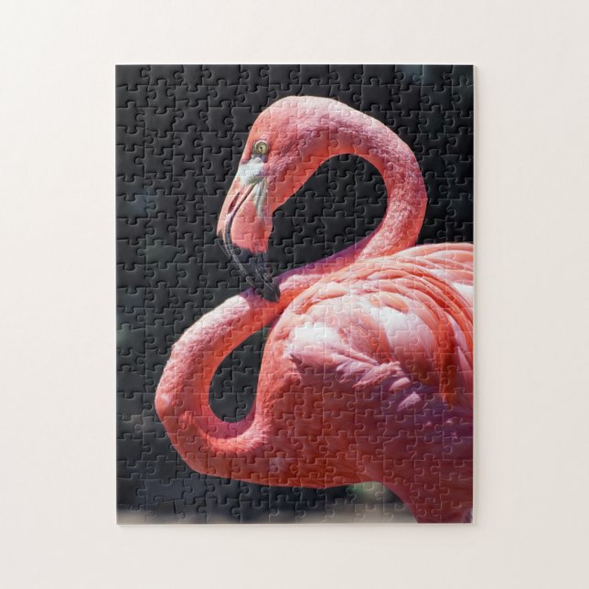 Flamingo Quebra-cabeça (Vertical)