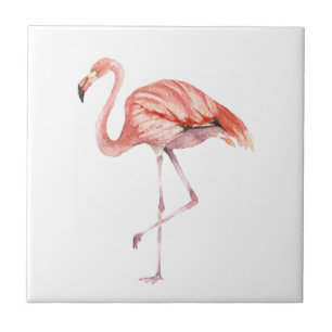 Flamingo Rosa
