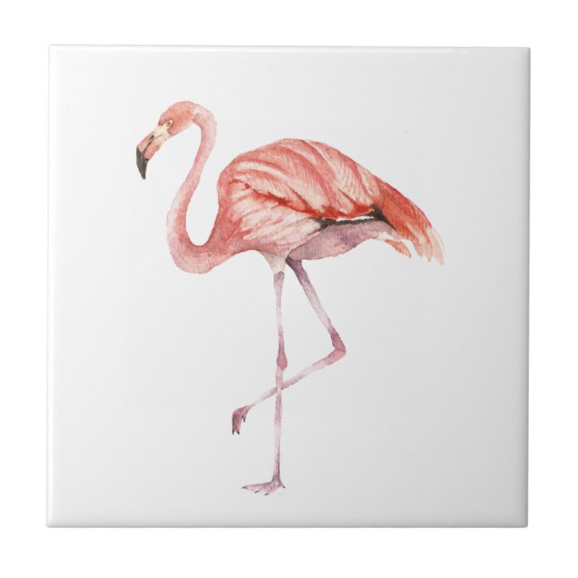 Flamingo Rosa (Frente)