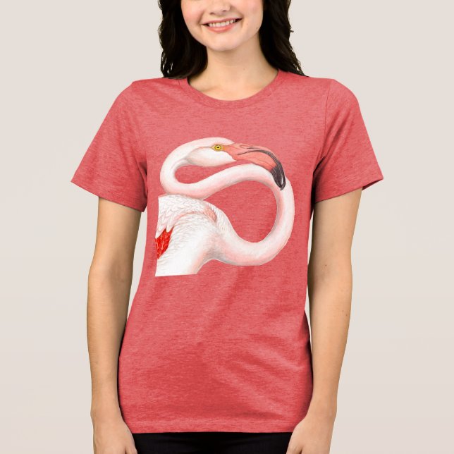 Flamingo Rosa (Frente)