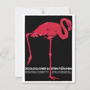 Flamingo Rosa Antigo no Zoológico de Munique na Al