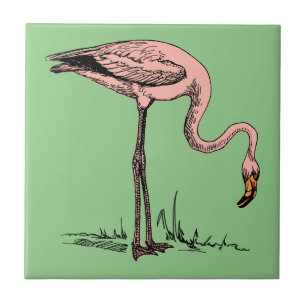 Flamingo Rosa Elegante - Estética Vintage
