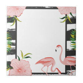 Flamingo Rosa-Rosa-Greve Moderna