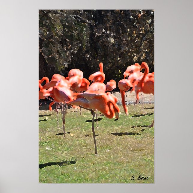 Flamingoes Impressão (Frente)