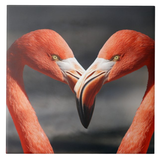 Flamingoes no Amor (Frente)