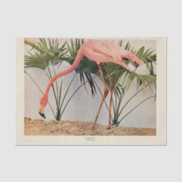 Flamingoes - Papel Tecido de Decoupage Ephemera