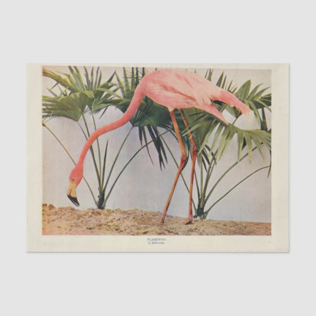 Flamingoes - Papel Tecido de Decoupage Ephemera (Frente )