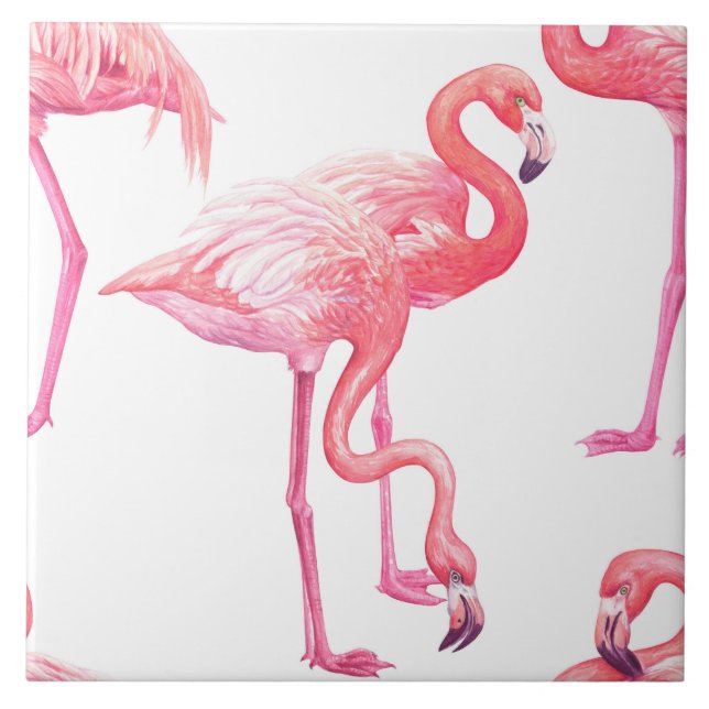 Flamingos (Frente)
