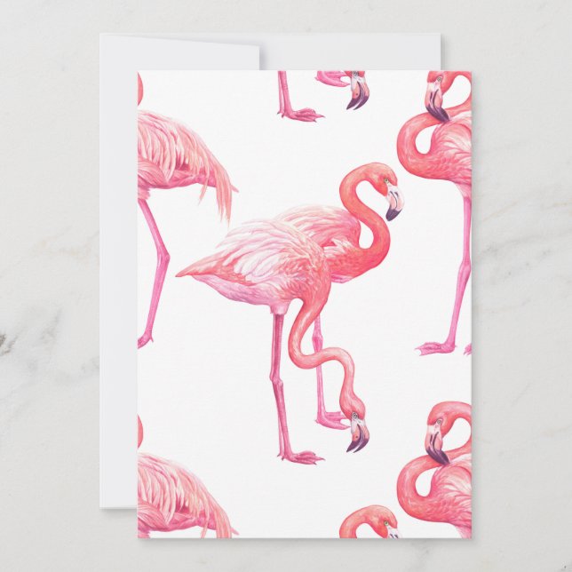 Flamingos (Frente)