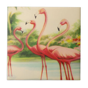 Flamingos Antigos