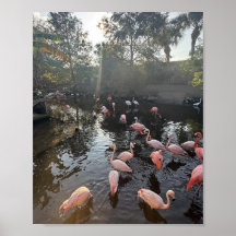 Flamingos ao Nascer do Sol Poster