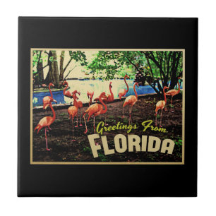 Flamingos cor-de-rosa de Florida